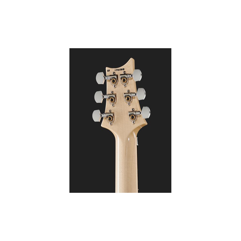 PRS Custom 24 Floyd CH – Thomann Ireland