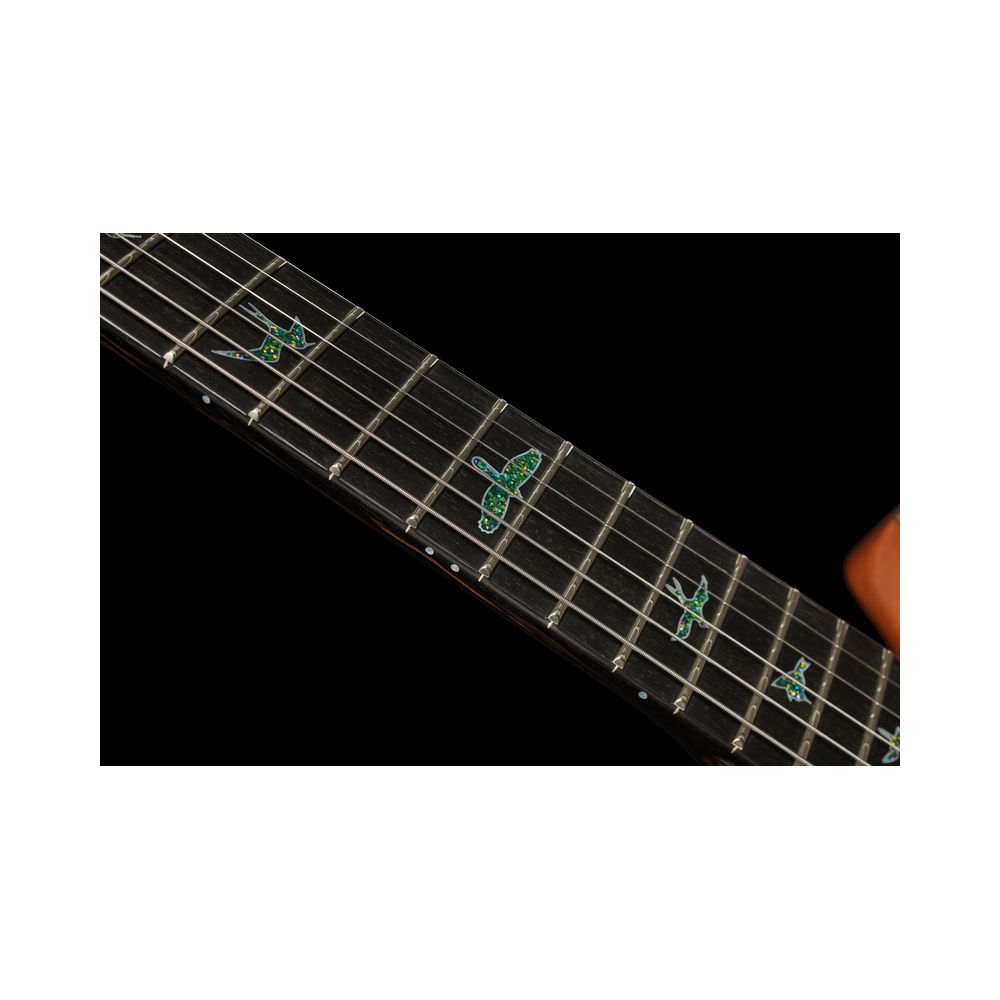 PRS Special 22 SH PS Pale Moon – Thomann Ireland