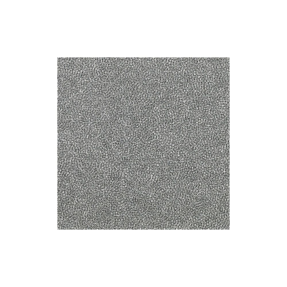 Shure Internal FoamShield SH55 Back – Thomann Ireland