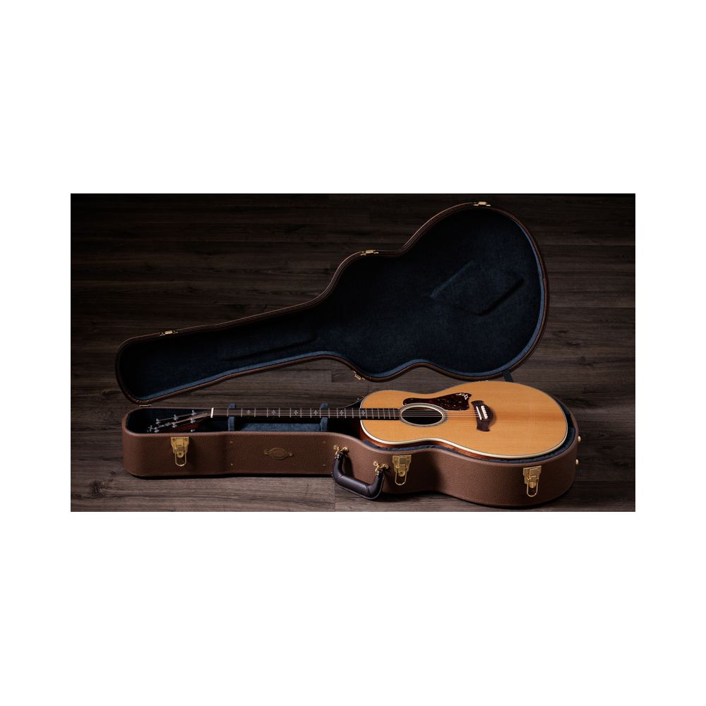 Taylor Gold Label 814e – Thomann Ireland