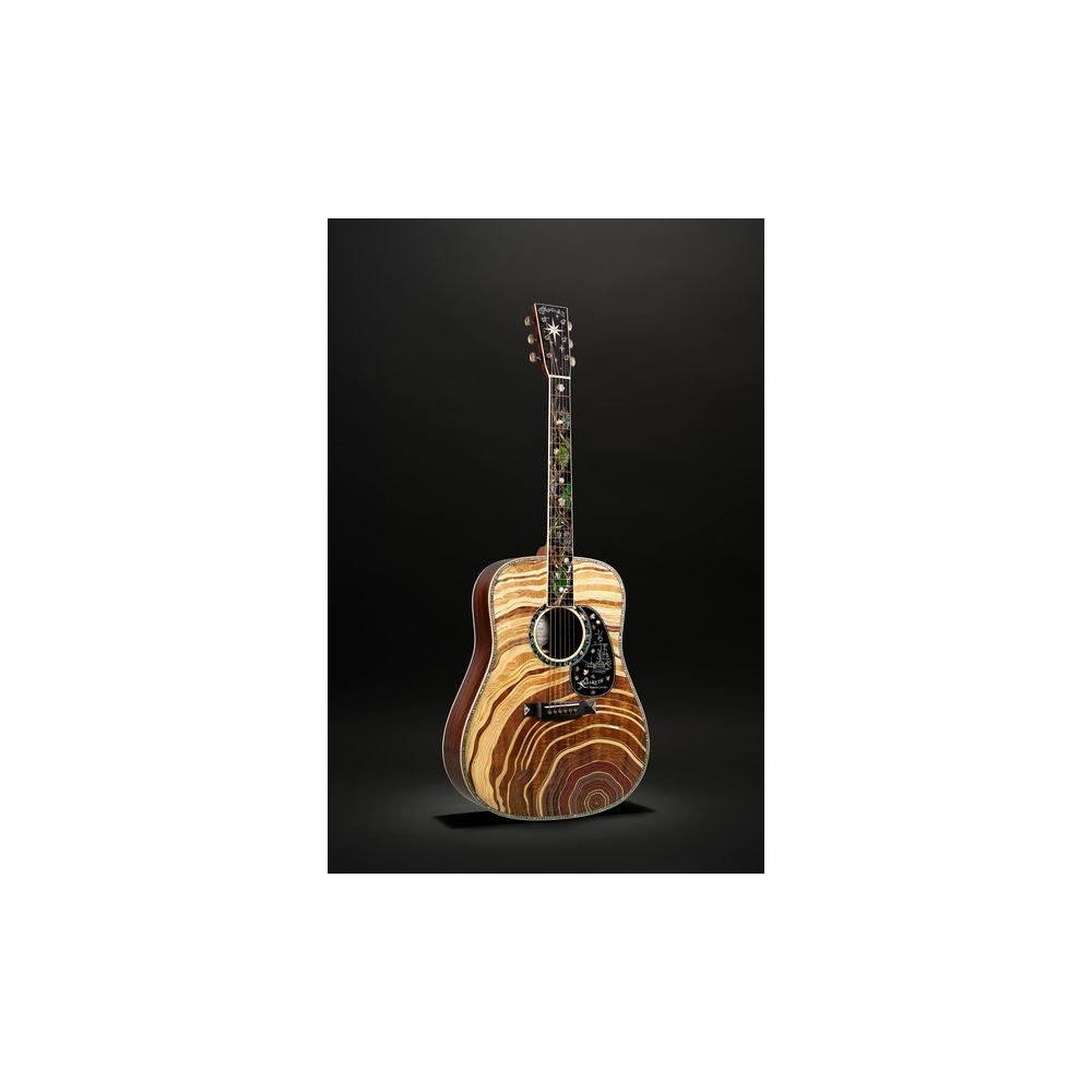 Martin Guitar D