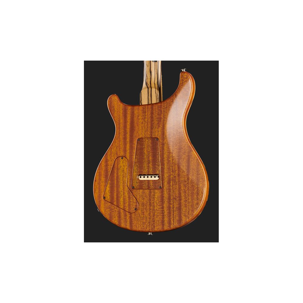 PRS Special 22 SH PS Pale Moon – Thomann Ireland