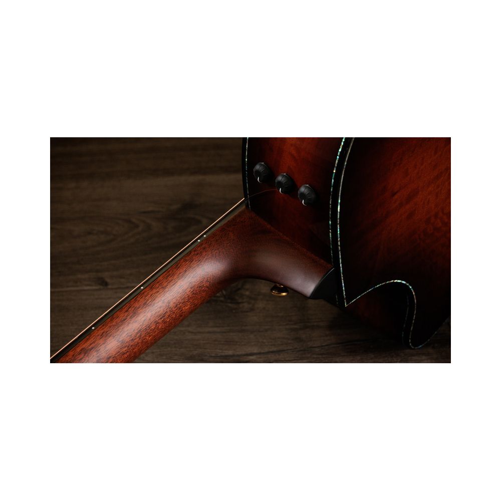Taylor PS14ce Figured Urban Ironback – Thomann Ireland