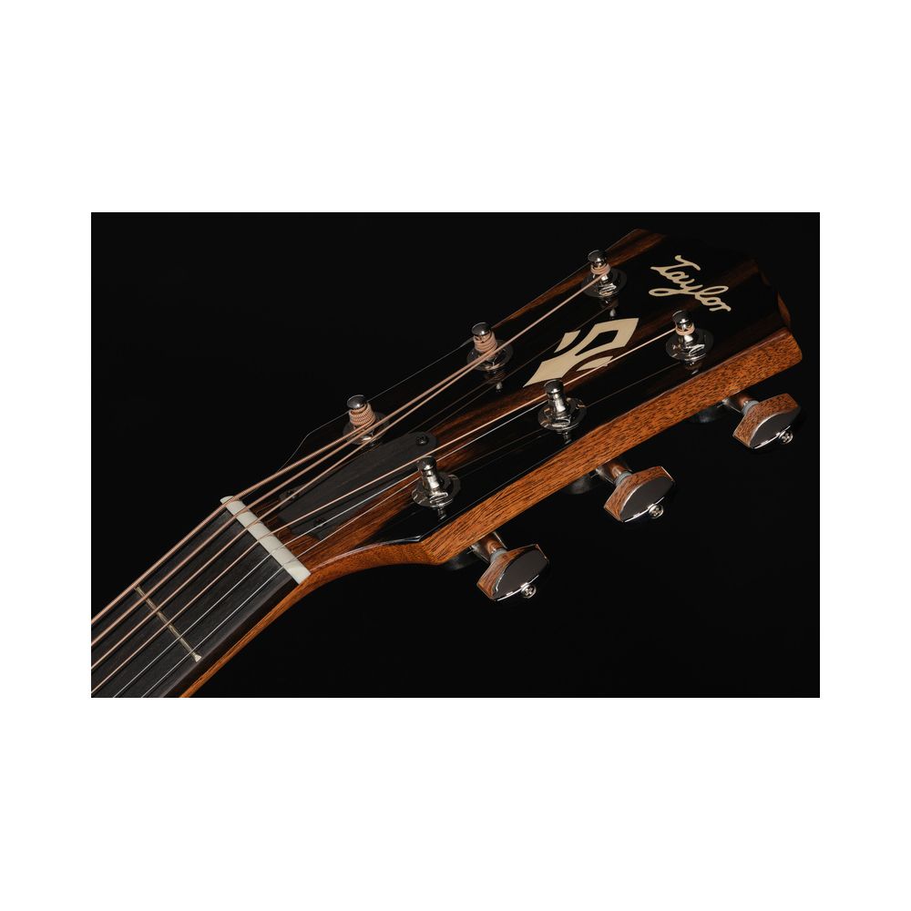 Taylor Gold Label 517e – Thomann Ireland