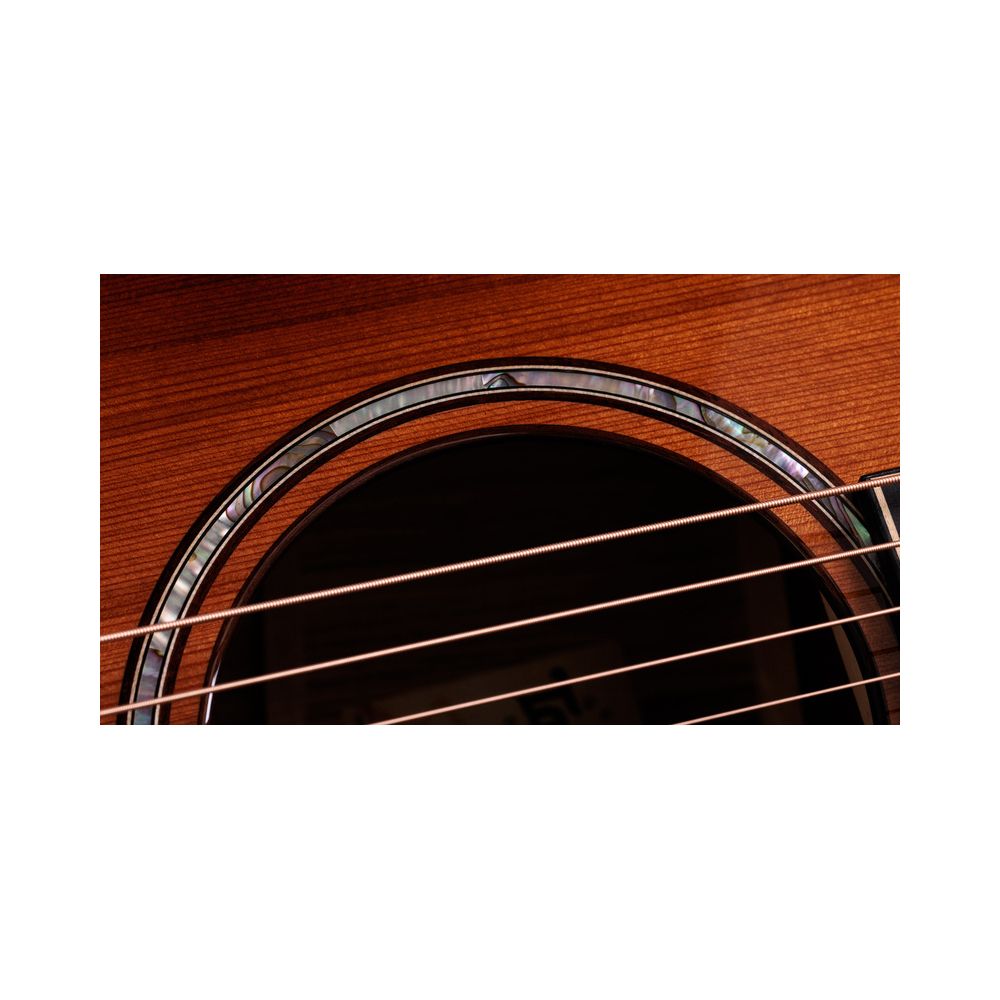 Taylor Builder’s Ed. 814ce Sinker – Thomann Ireland