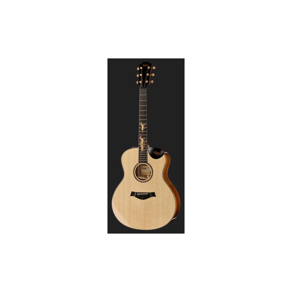 Taylor Custom #30 GS – Thomann Ireland
