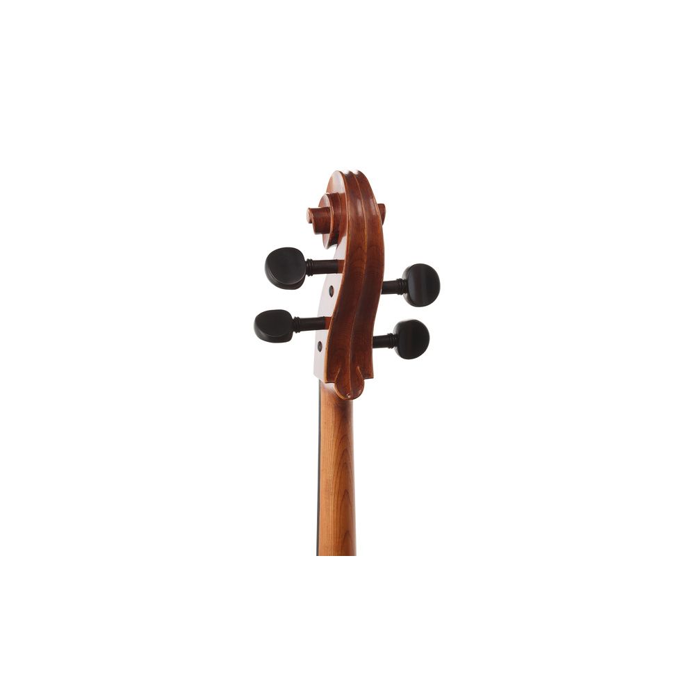 Gewa Maestro 31 Cello 4/4 – Thomann Ireland