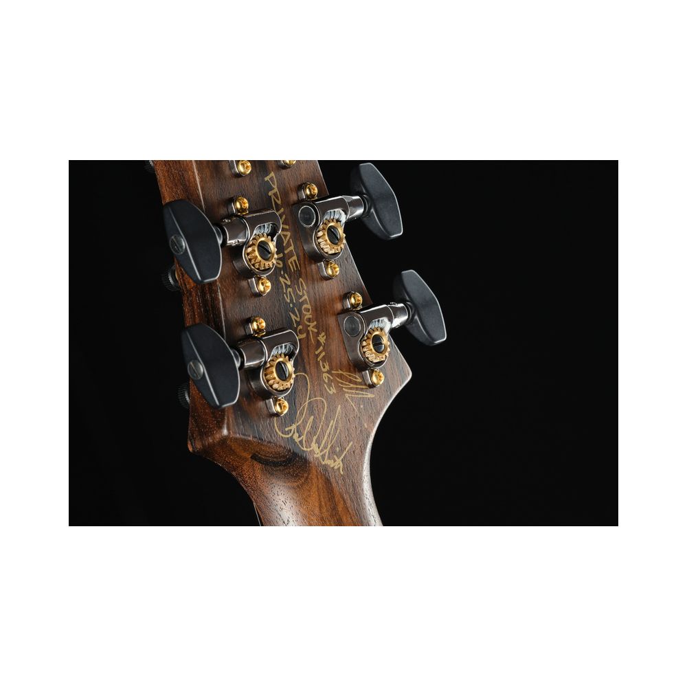 PRS Cu24 PS Sage Dragons Breath – Thomann Ireland
