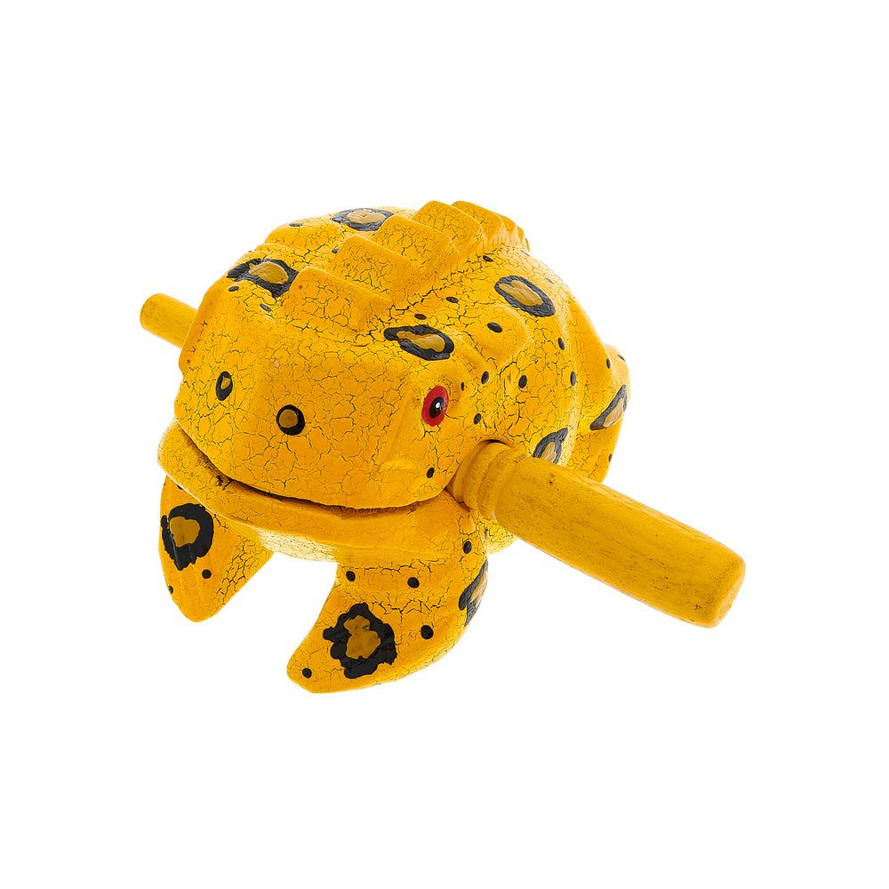 Thomann Frog M Percussion Frog Paint – Thomann Ireland