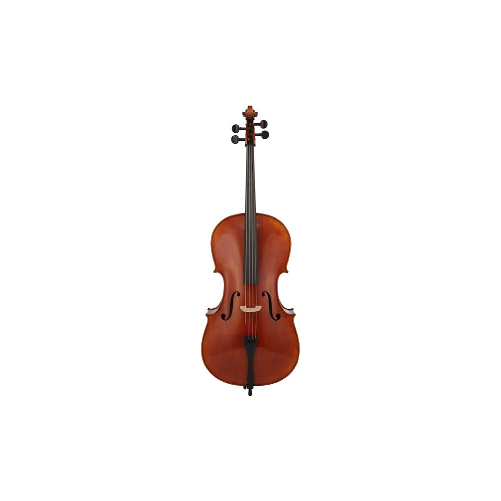 Gewa Maestro 31 Cello 4/4 – Thomann Ireland