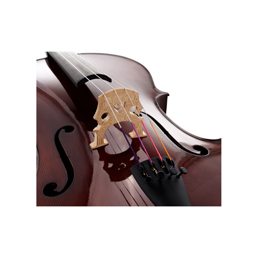 Gewa Georg Walther Concert Cello RB – Thomann Ireland