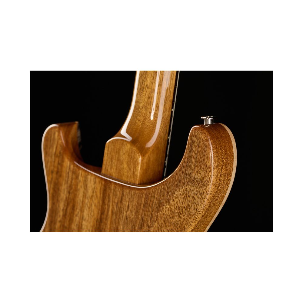 PRS DGT Birds Charcoal '24 – Thomann Ireland