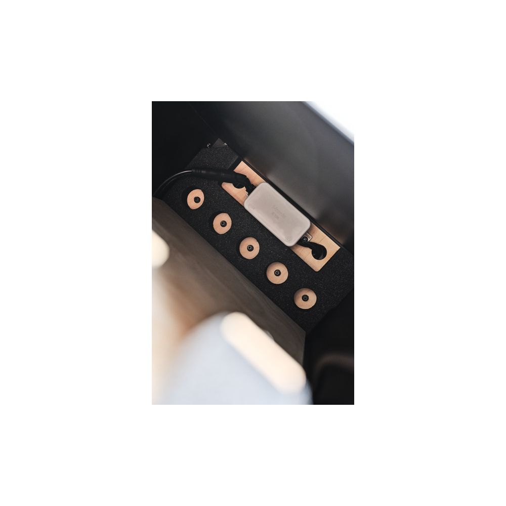 Ape Labs ApeStick 4