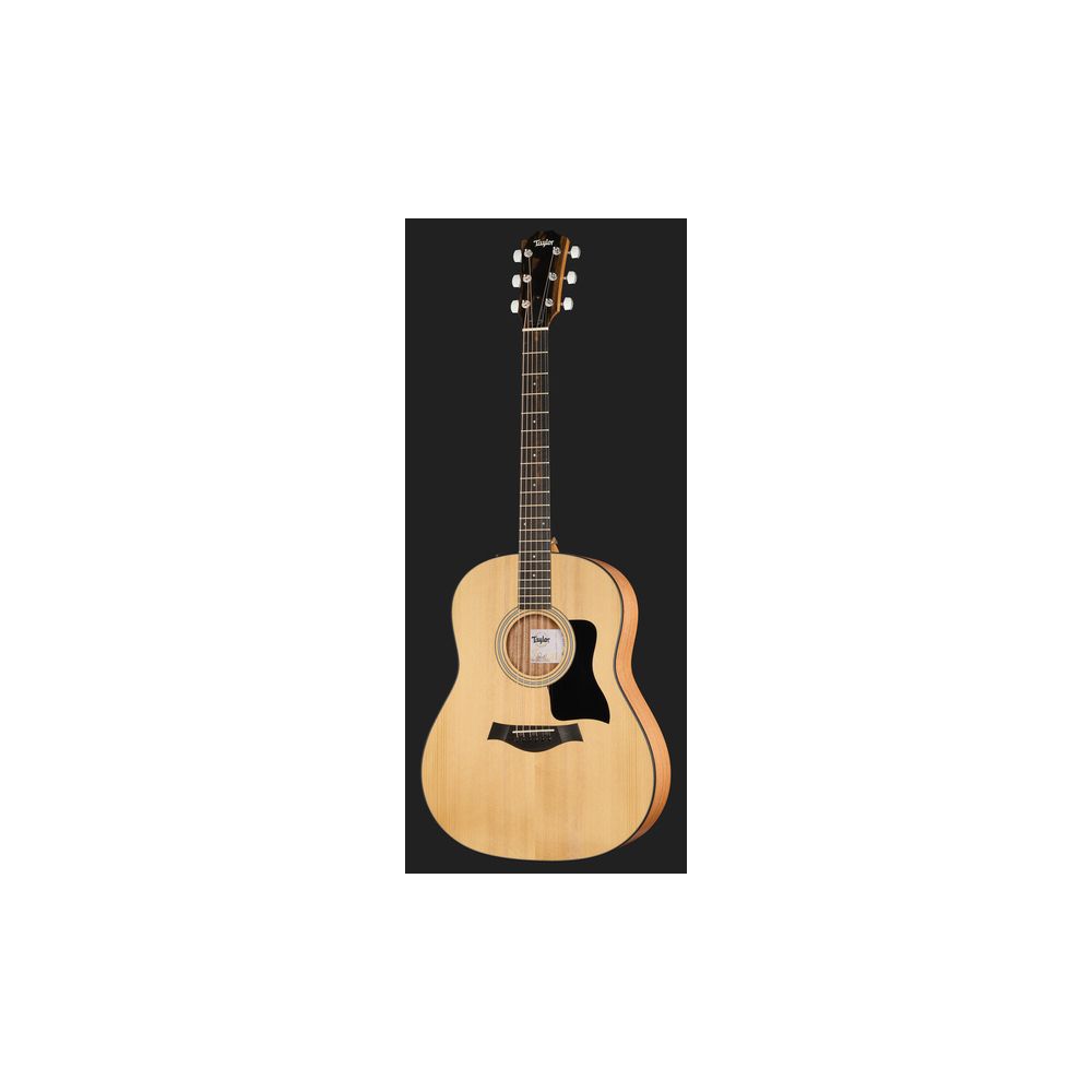 Taylor 117e Grand Pacific – Thomann Ireland