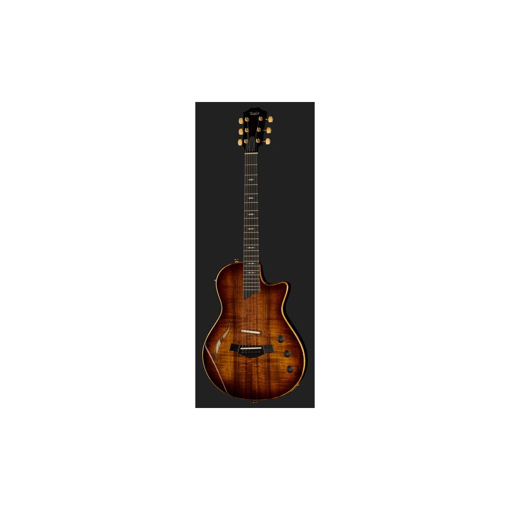 Taylor T5z Custom Koa – Thomann Ireland