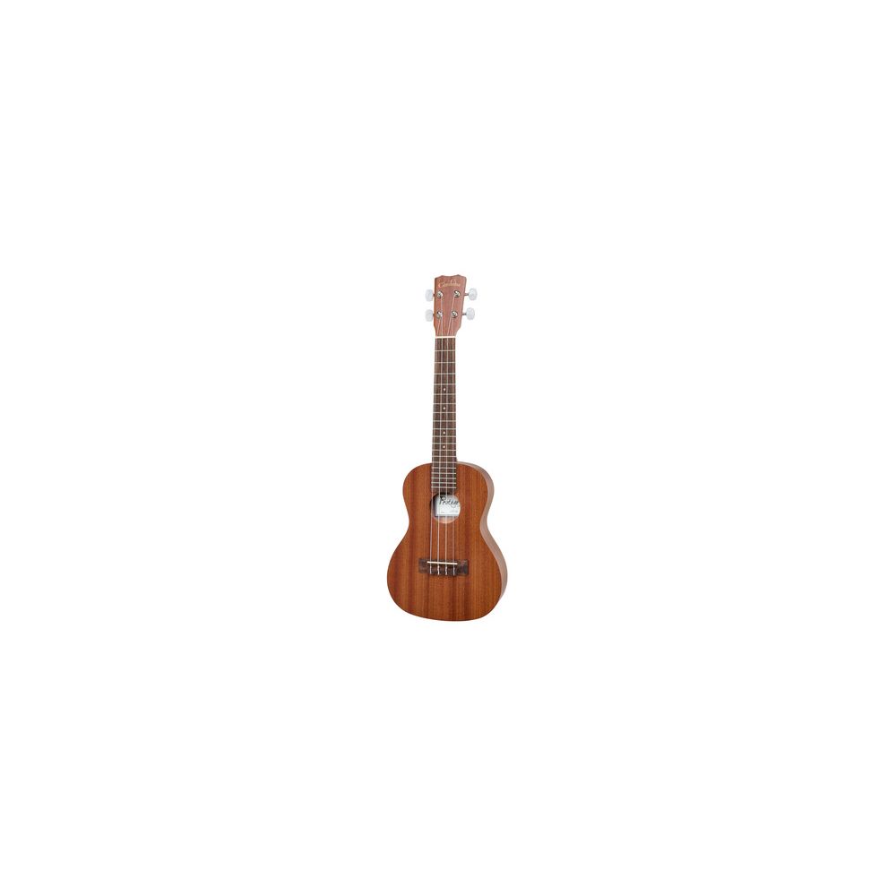 Cordoba Up 100 Ukulele Pack B