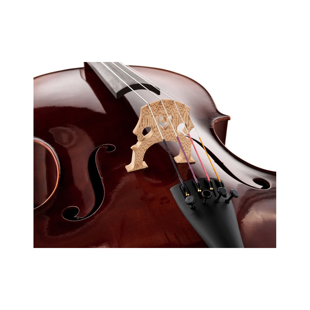 Gewa Maestro 6 Antique Cello 4/4 – Thomann Ireland