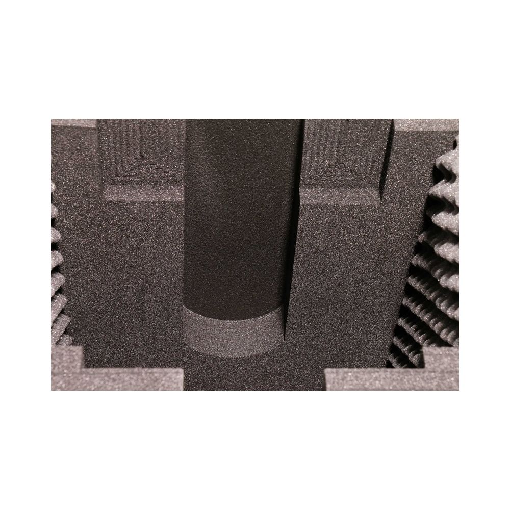 Thon Case 2x Stairville B1R Beam – Thomann Ireland