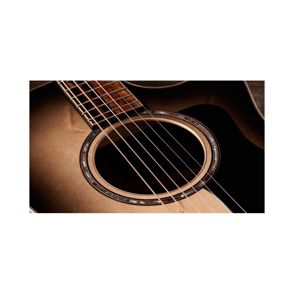 Taylor 814ce Special Edition Charcoal – Thomann Ireland