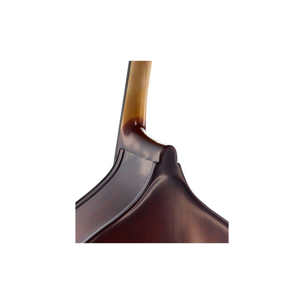 Gewa Basic Line Solid Bass 4/4 – Thomann Ireland