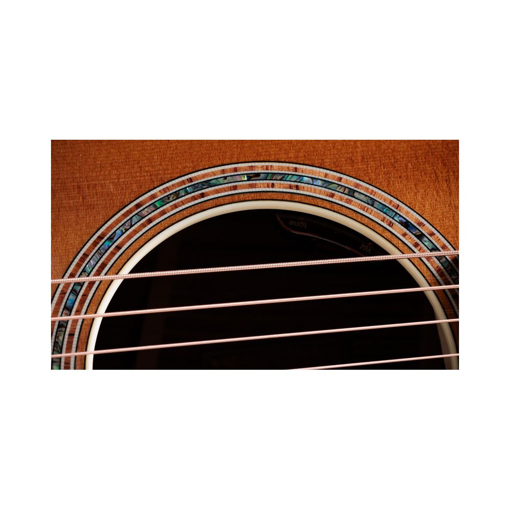 Taylor Gold Label 814e Sunburst – Thomann Ireland