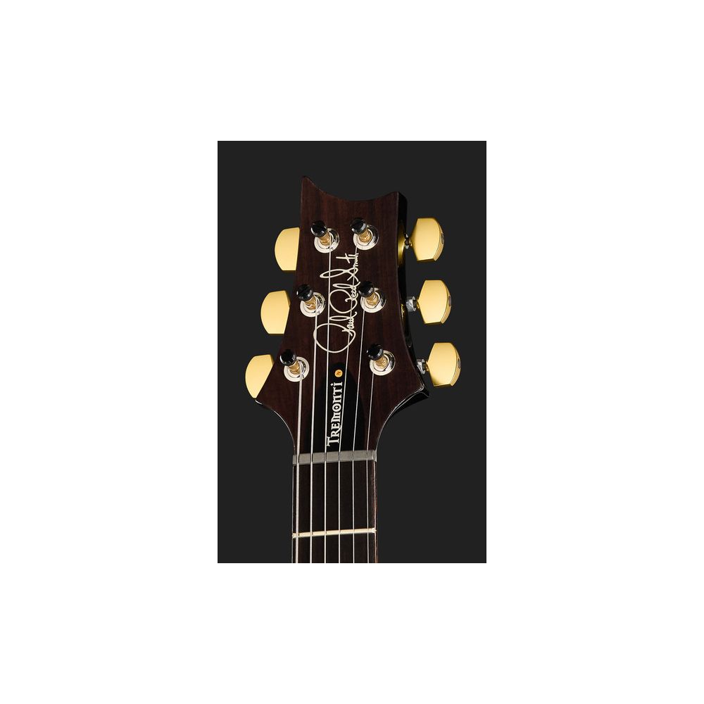 PRS Mark Tremonti FW 10 Top ST – Thomann Ireland