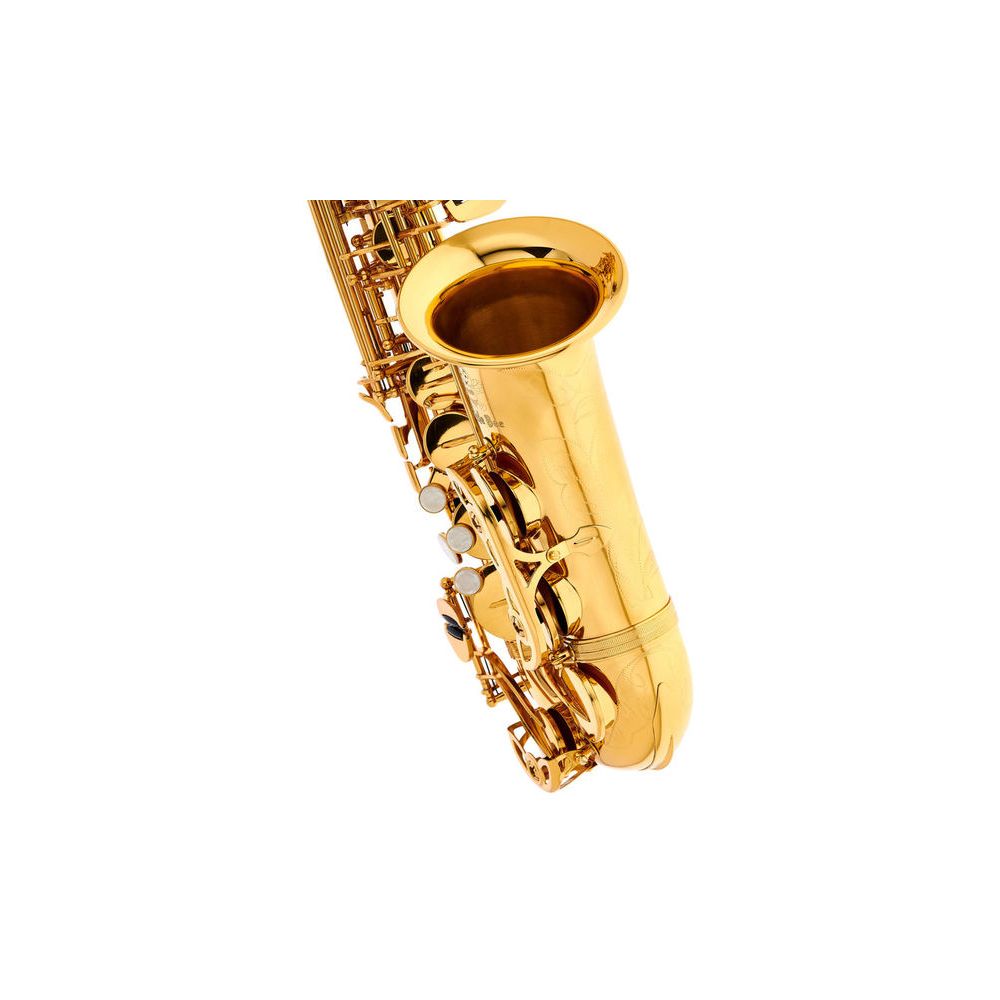 Thomann Little Bee Kids Saxophone – Thomann Ireland