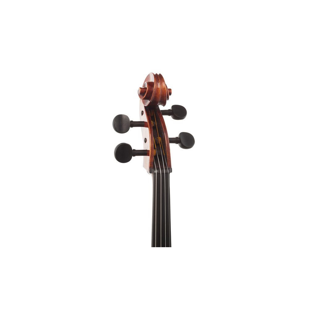 Gewa Maestro 31 Antique Cello 4/4 – Thomann Ireland