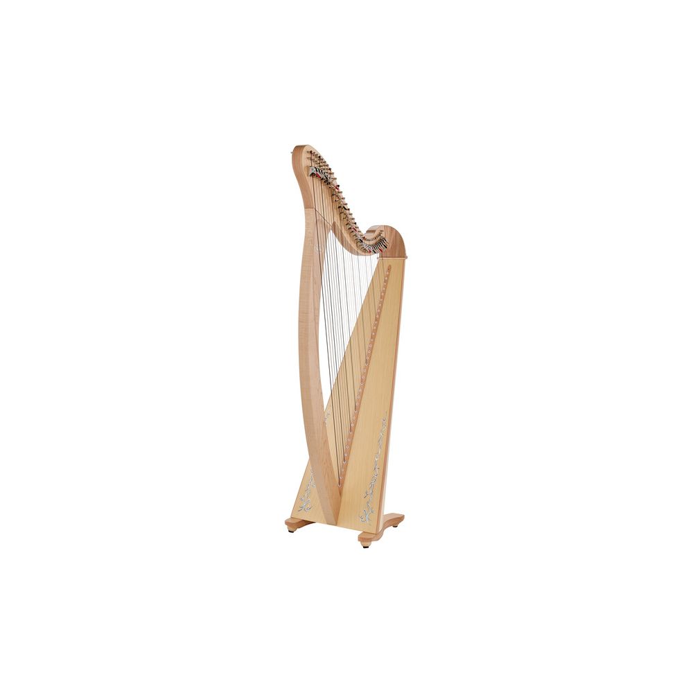 Salvi Donegal 34 Natural – Thomann Ireland