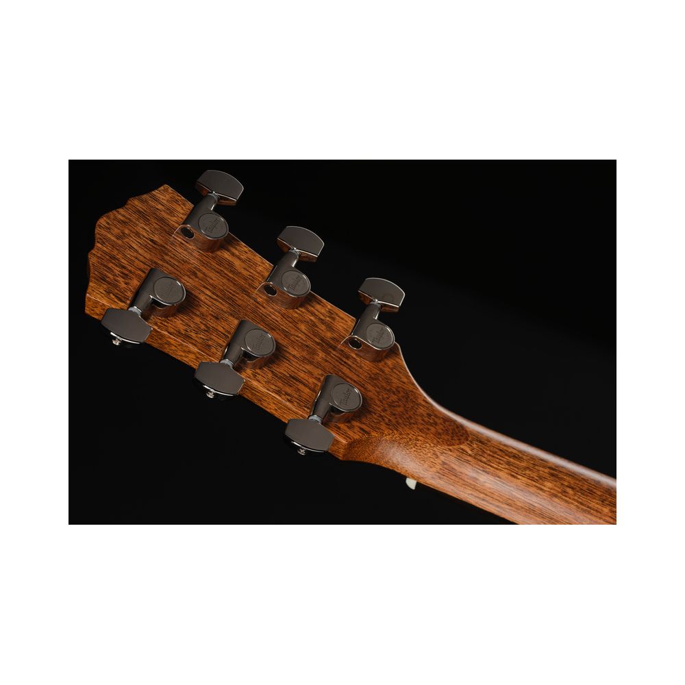 Taylor Gold Label 717e – Thomann Ireland