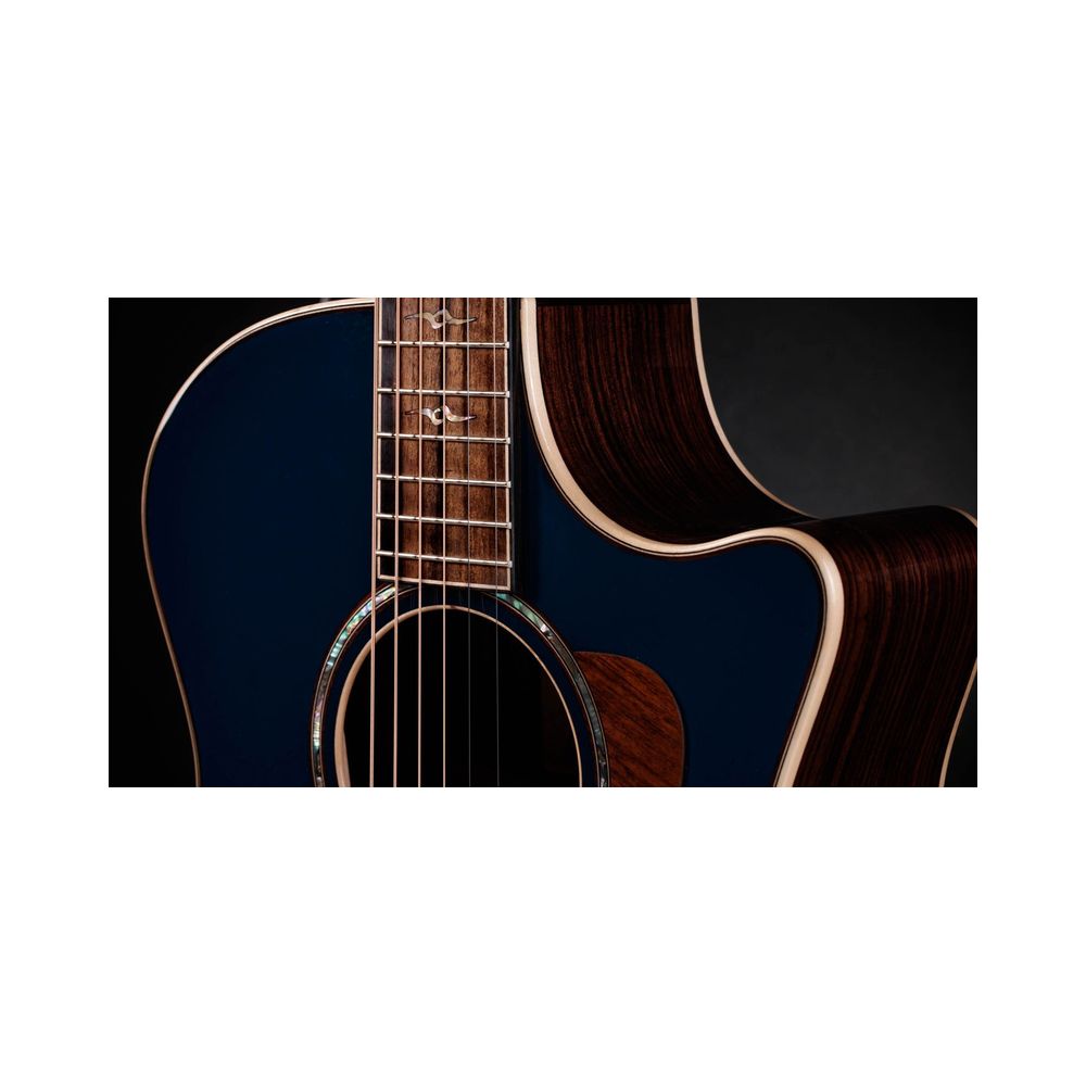Taylor 814ce Special Edition Sapphire – Thomann Ireland