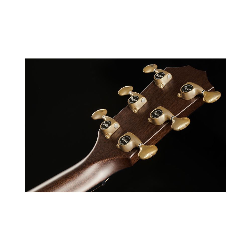 Taylor C26ce Grand Symphony Custom – Thomann Ireland