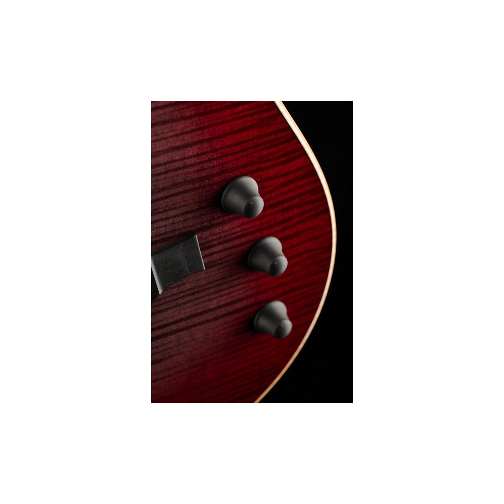 Taylor T5z Pro GV – Thomann Ireland