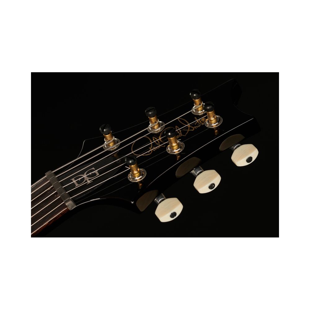 PRS DGT Birds Black Gold Burst '24 – Thomann Ireland