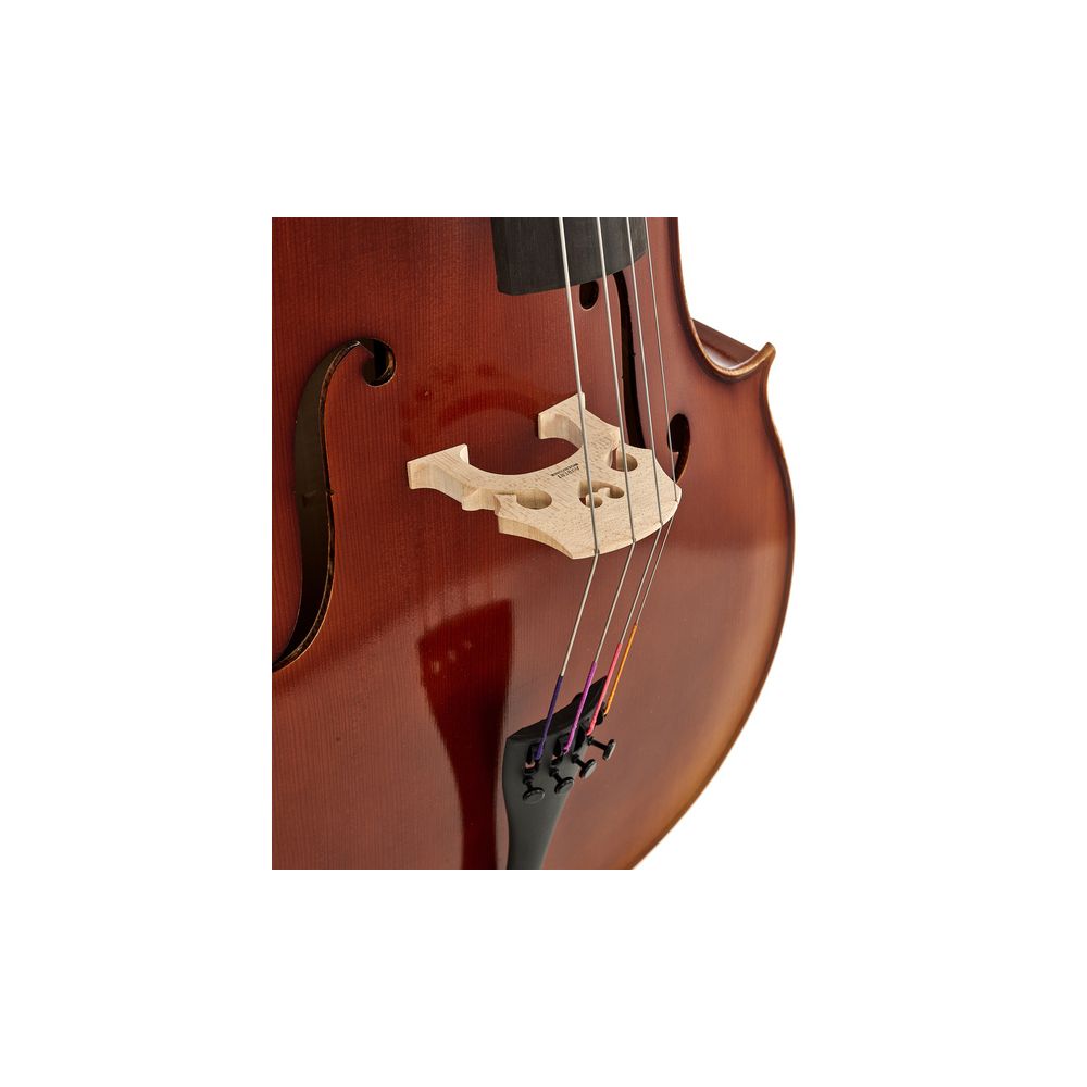 Gewa Allegro VC1 Cello 4/4 – Thomann Ireland