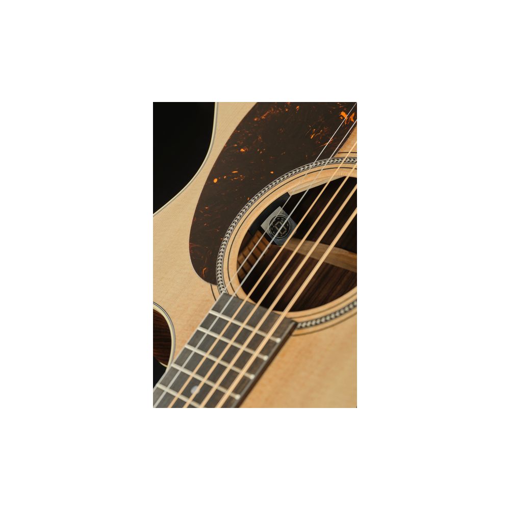 Martin Guitar GPC
