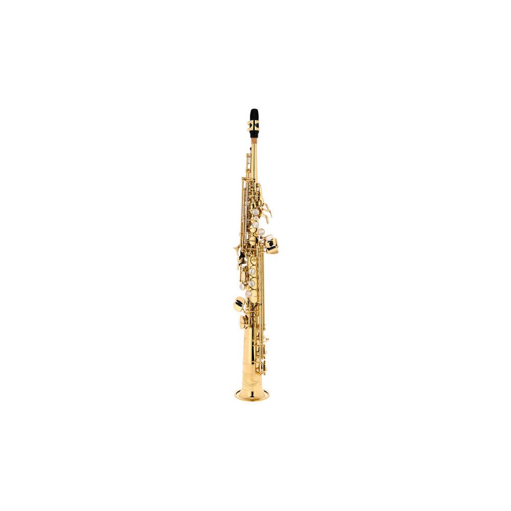 Yanagisawa S