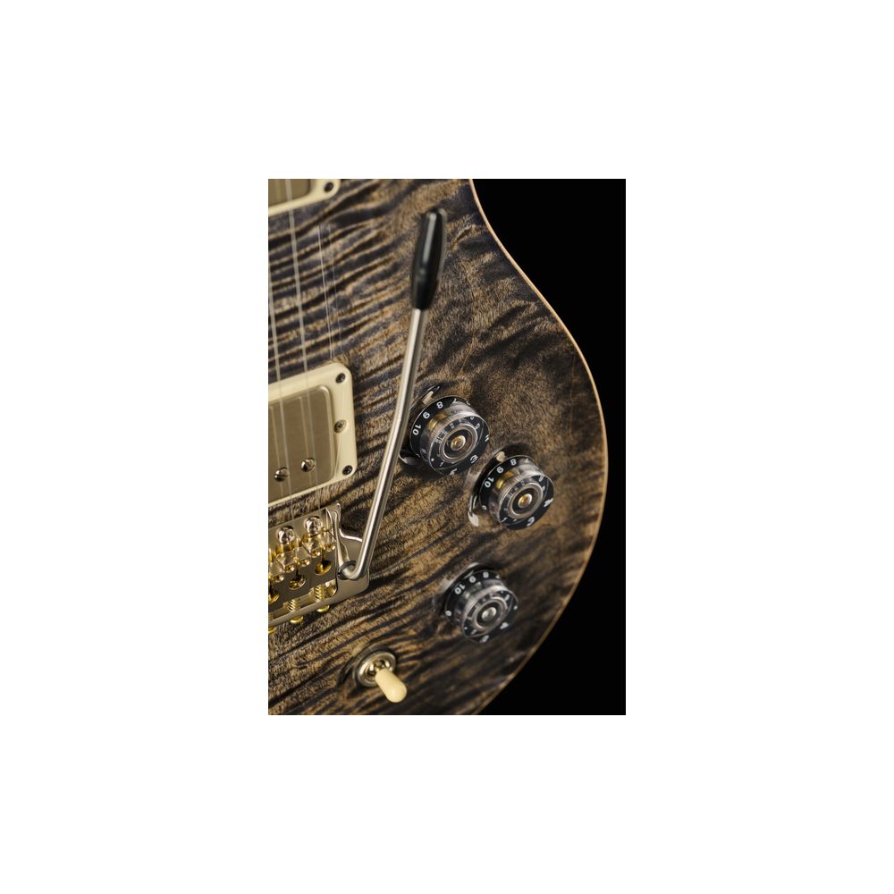 PRS DGT Birds Charcoal '24 – Thomann Ireland