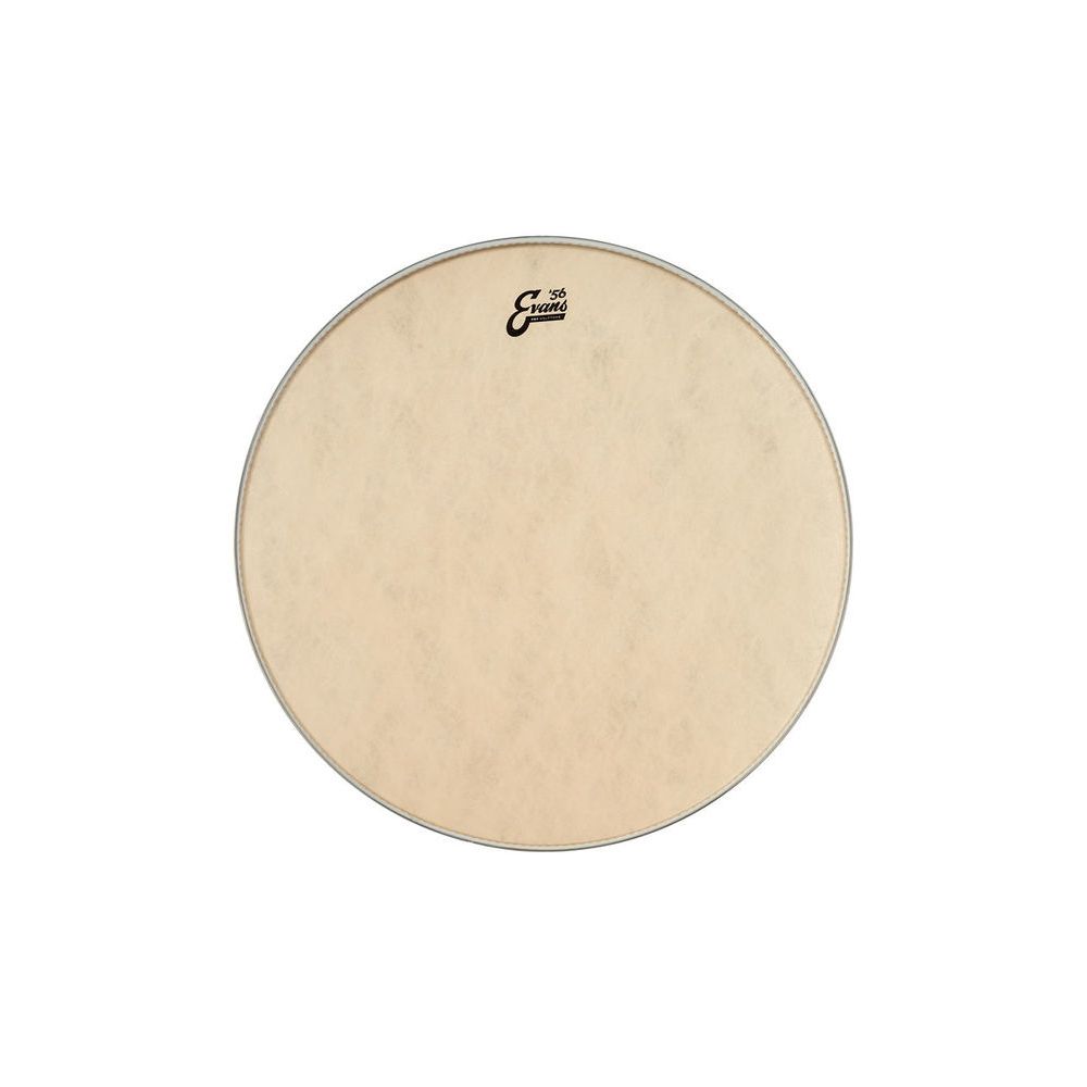 Evans 26" EQ4 Calftone Bass Drum – Thomann Ireland