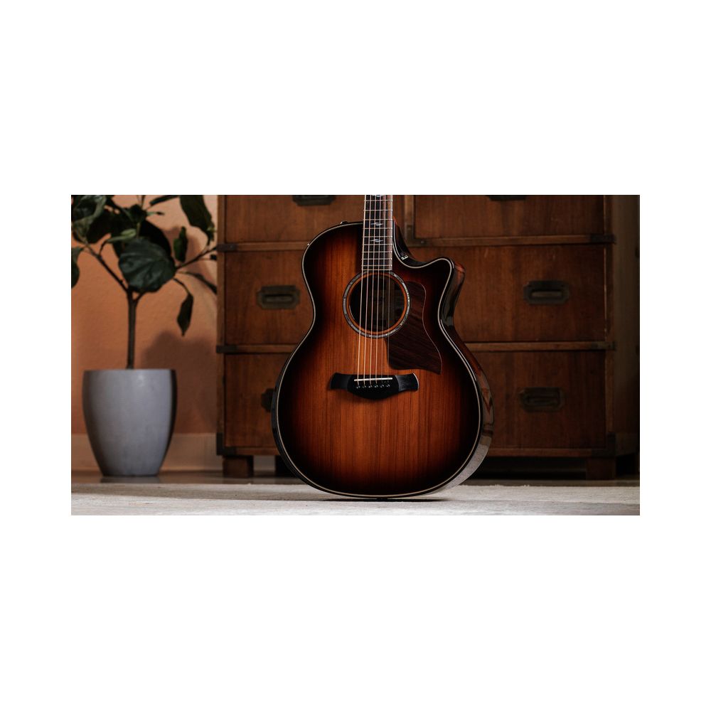 Taylor Builder’s Ed. 814ce Sinker – Thomann Ireland