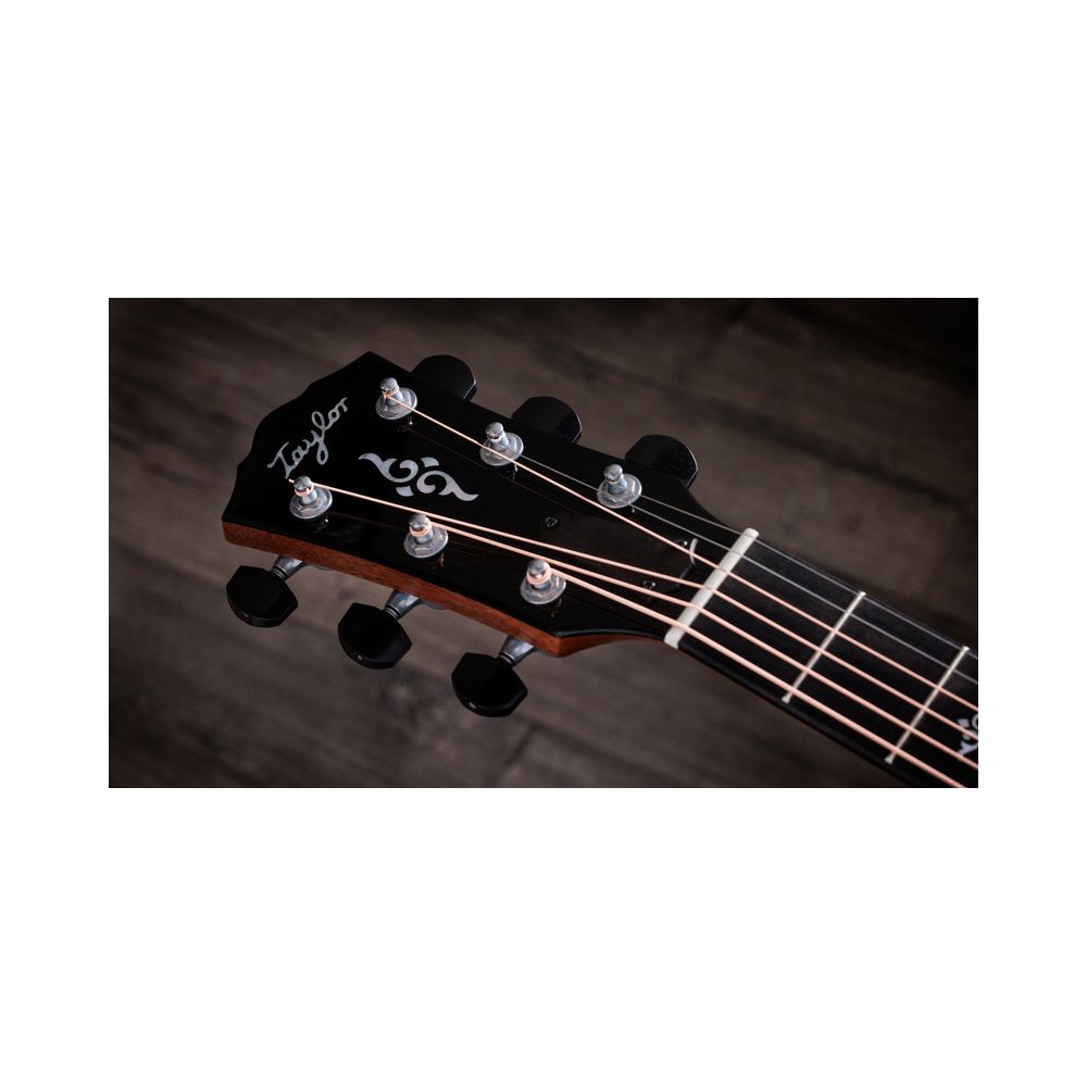 Taylor Gold Label 814e – Thomann Ireland