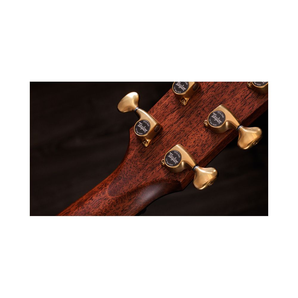 Taylor Builder’s Ed. 814ce Sinker – Thomann Ireland