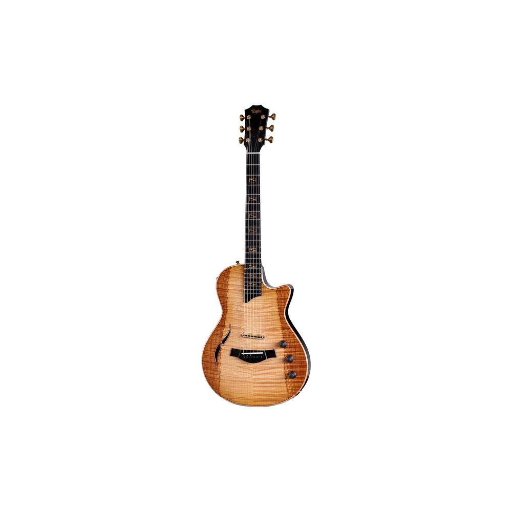 Taylor Custom #27: CT5z B5027 – Thomann Ireland