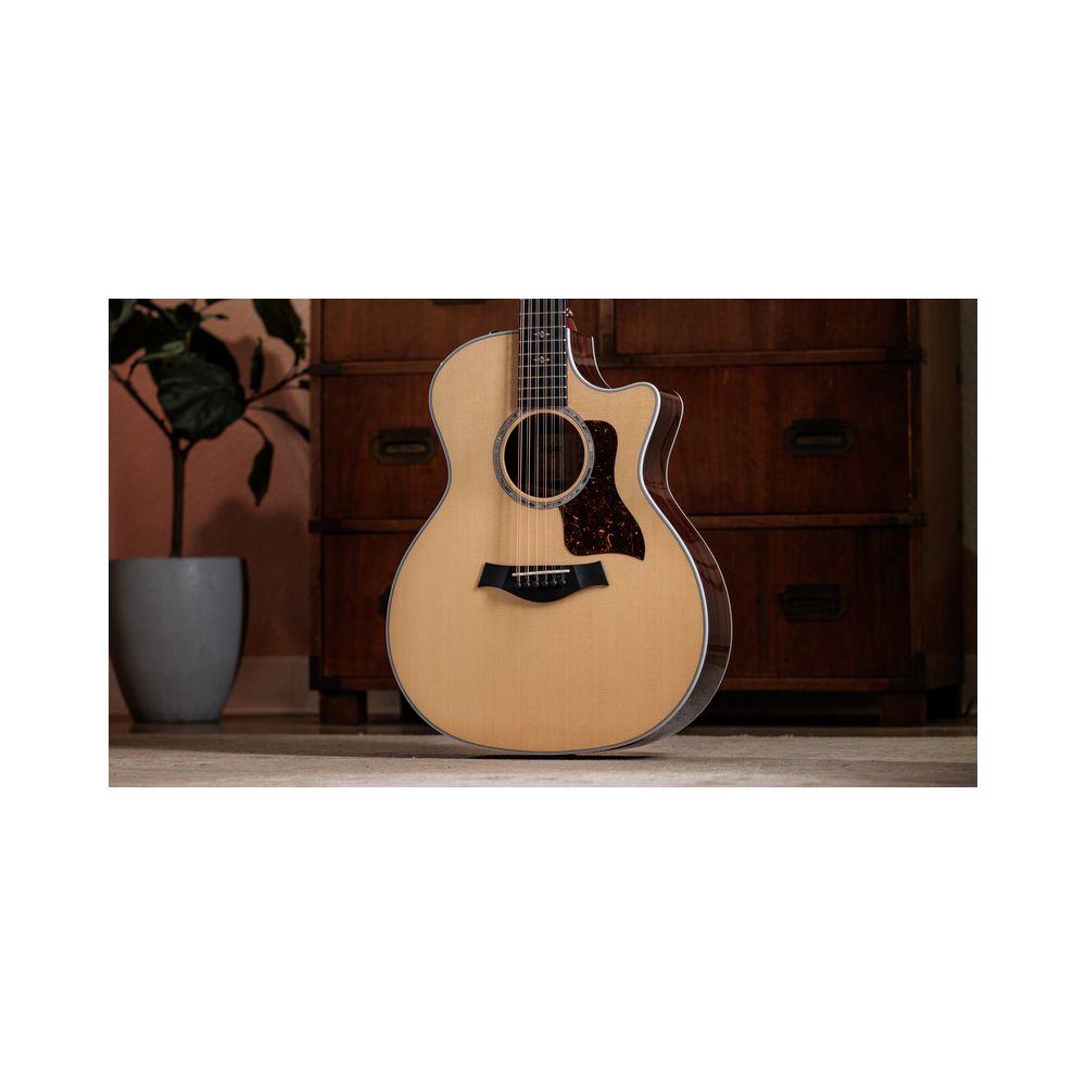Taylor 454ce – Thomann Ireland