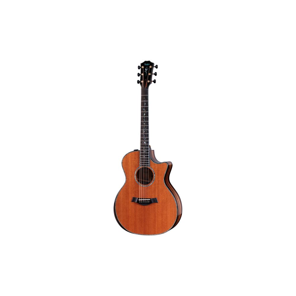 Taylor Custom #3: Canela – Thomann Ireland