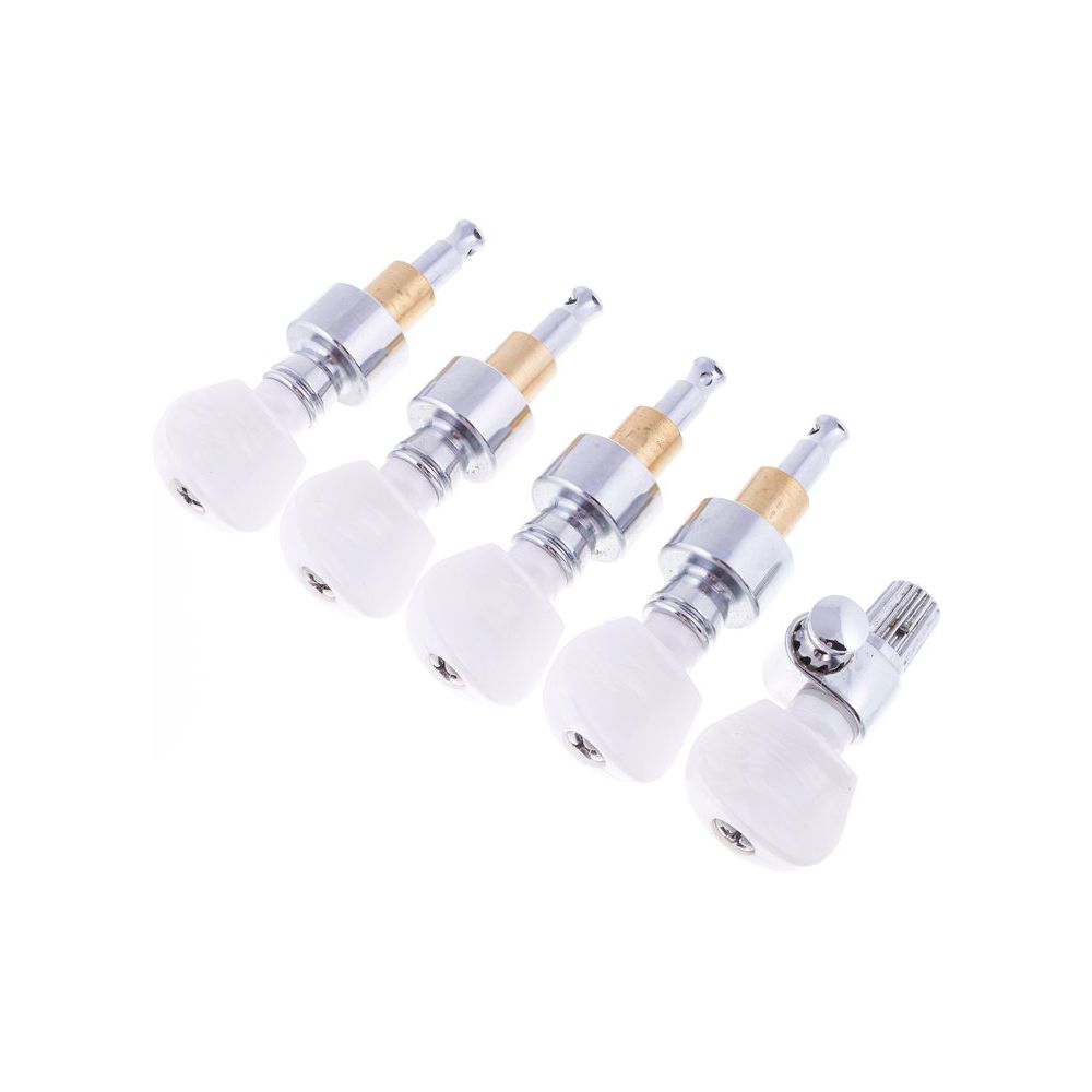 Harley Benton Parts Deluxe 5 Banjo Key Set – Thomann Ireland