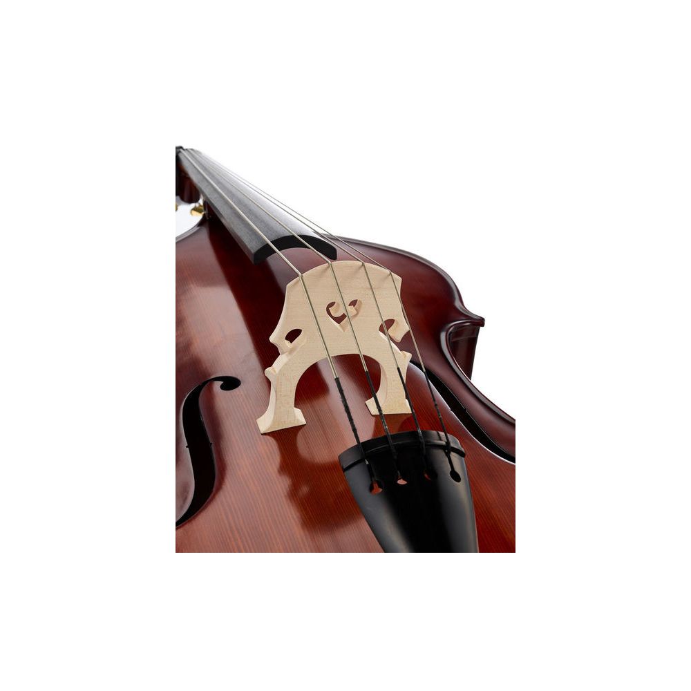 Gewa Basic Line Solid Bass 4/4 – Thomann Ireland