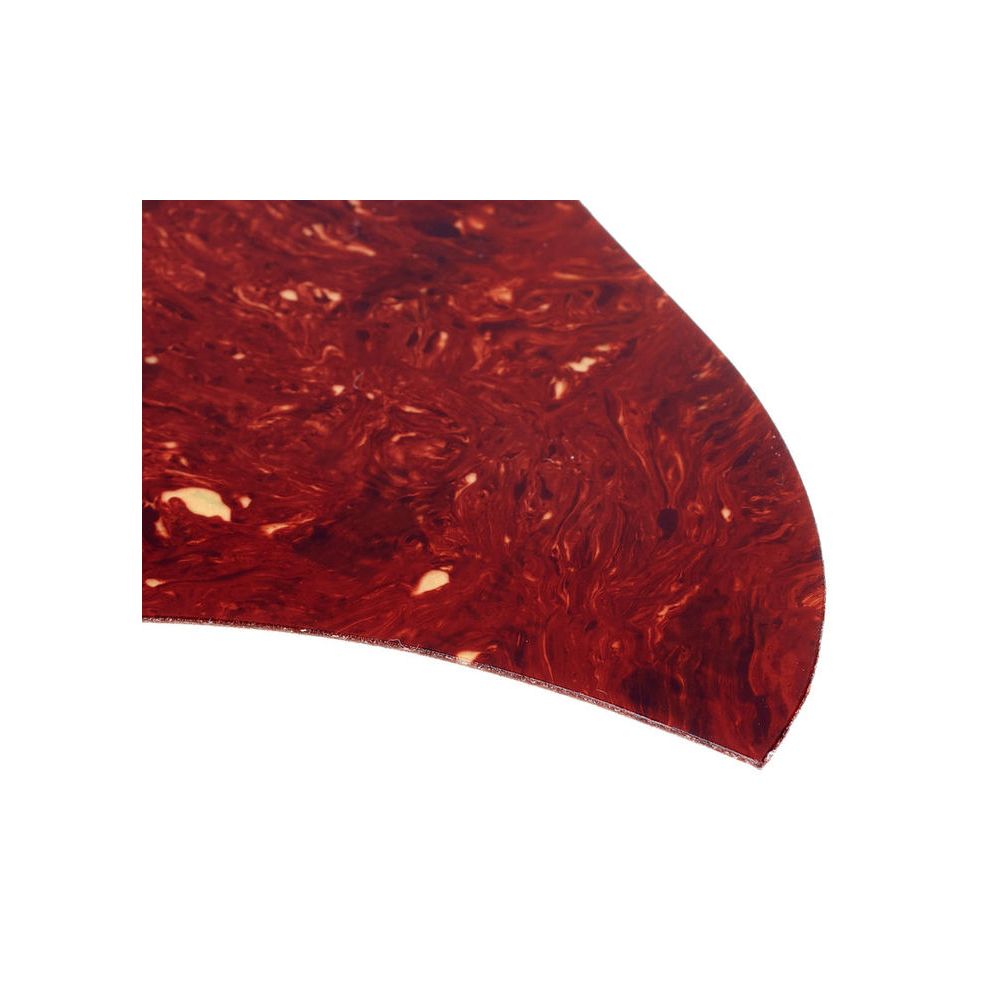 Taylor GS Mini Pickguard Tortoise – Thomann Ireland