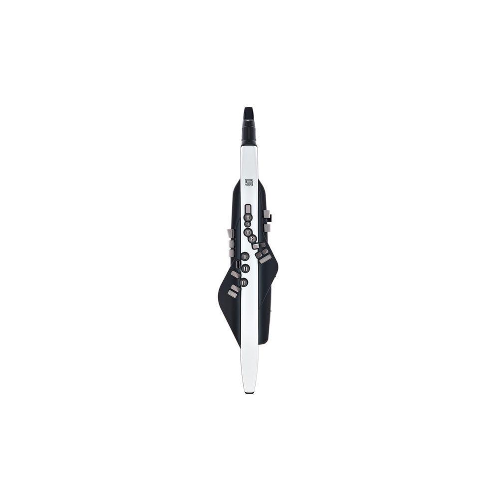 Roland Aerophone AE