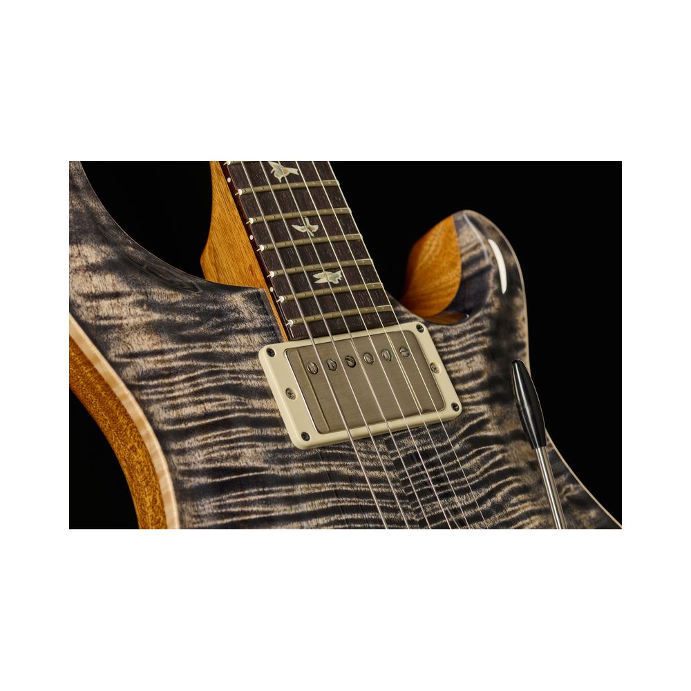 PRS DGT Birds Charcoal '24 – Thomann Ireland